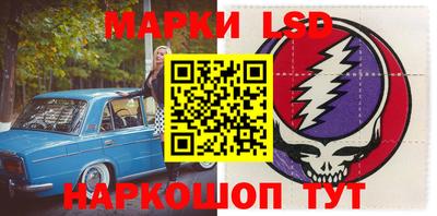 крисы Аргун