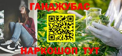 крисы Аргун