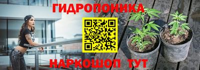 шишки Апрелевка