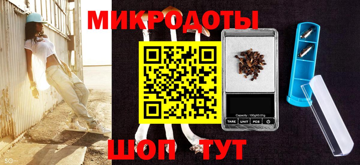 Владимир  Галлюциногенные грибы Cubensis  где купить наркотик  Вход с VPN 